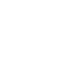 電子領域