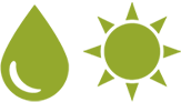 CLIMATIC SEQUENCE